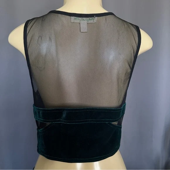 UO | STARING AT STARS Velvet and Lace Crop Top - Picture 7 of 9